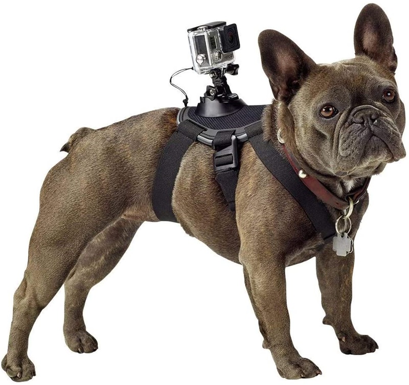 Arnés para perros Gopro Fetch